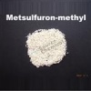 METSULFURON-METHYL