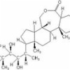 BRASSINOLIDE